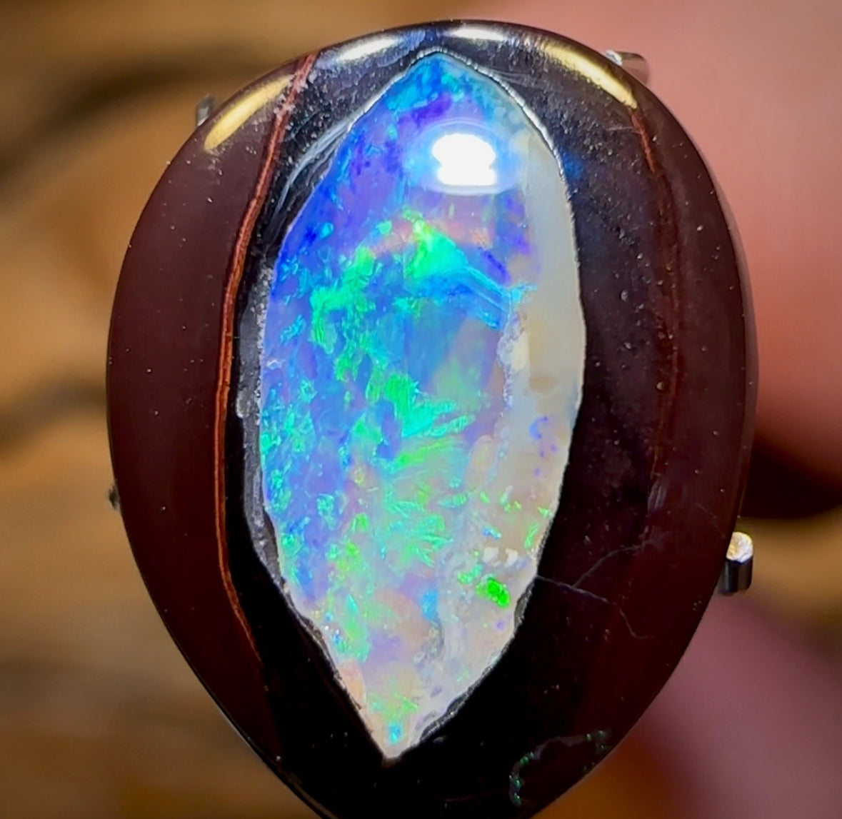 4.6cts - “Sweet Kernel 2”Yowah Nut Kernel Opal. Double Sided - Opal Whisperers