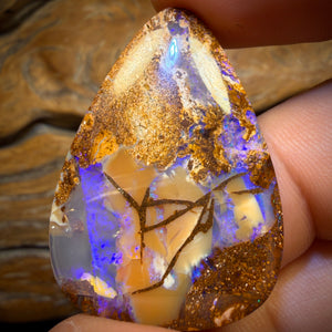 31.6cts - Top Australian Boulder Pipe Opal Picture Stone from Yowah
