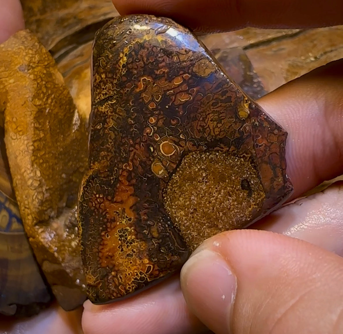 222.7g - 5x Yowah Nut Matrix Rough Slabs. Boulder Opal Parcel BARGAIN - Opal Whisperers