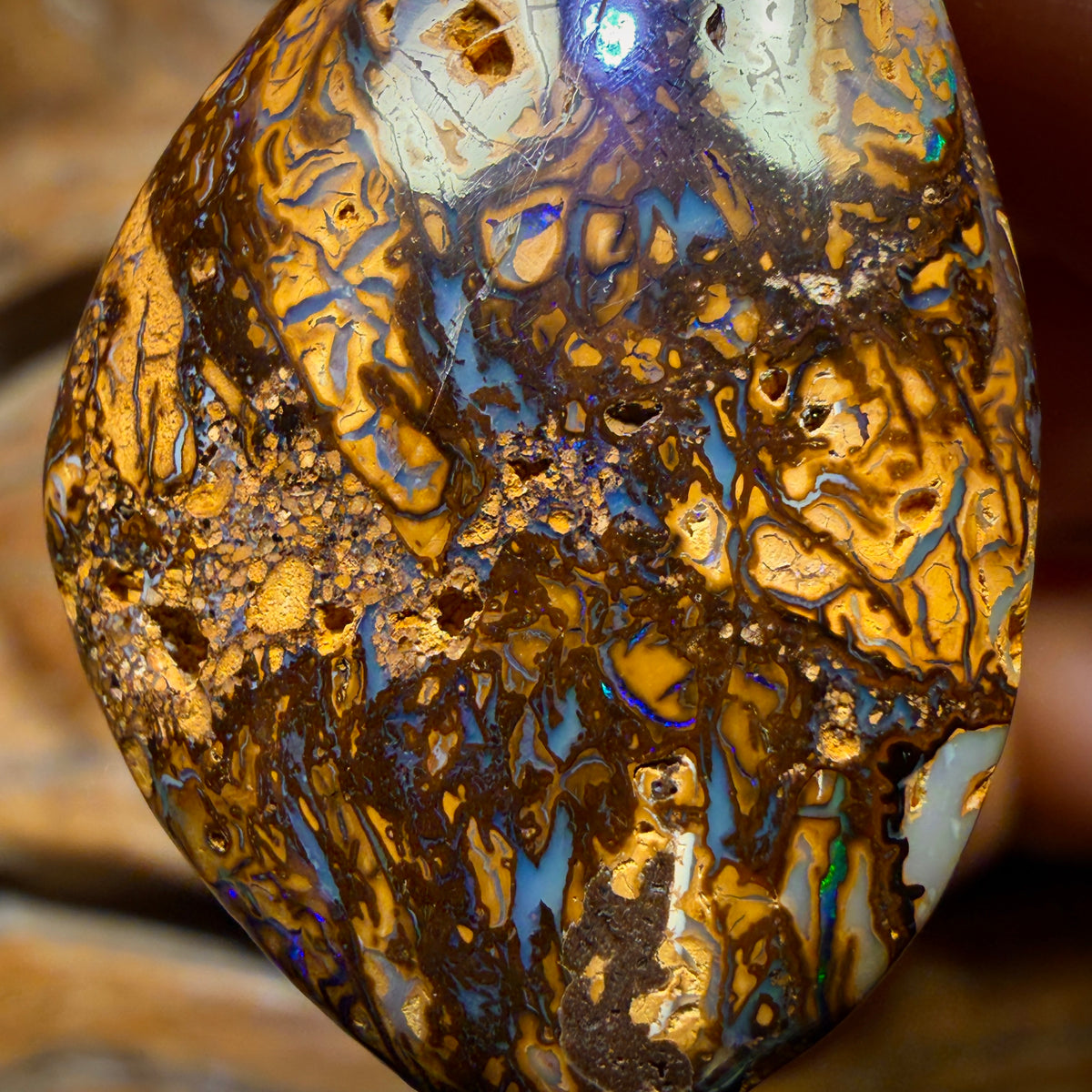 36 x 23mm - Drilled Tribal Queensland Boulder Opal Necklace