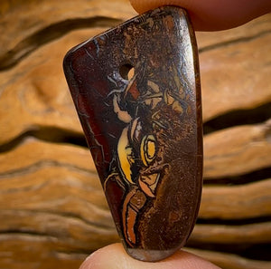 Opale Boulder australienne percée 31 x 18 mm