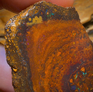 Wildcard! 169.2cts - Tribal Yowah Nut Opal Rough Pair. Australian Opal