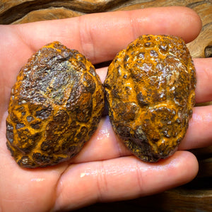 Wildcard! 315.1cts - RARE Yowah Nut Partial Crystal Centre Rough Specimen Pair