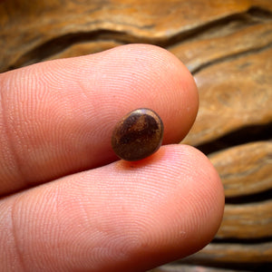 1.25cts - Queensland Boulder Seam Opal. Australian Opal