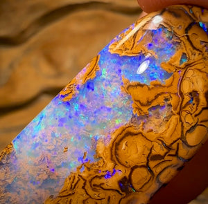 69.2cts - Yowah Nut Tribal Opal w/ Partial Crystal Centre!