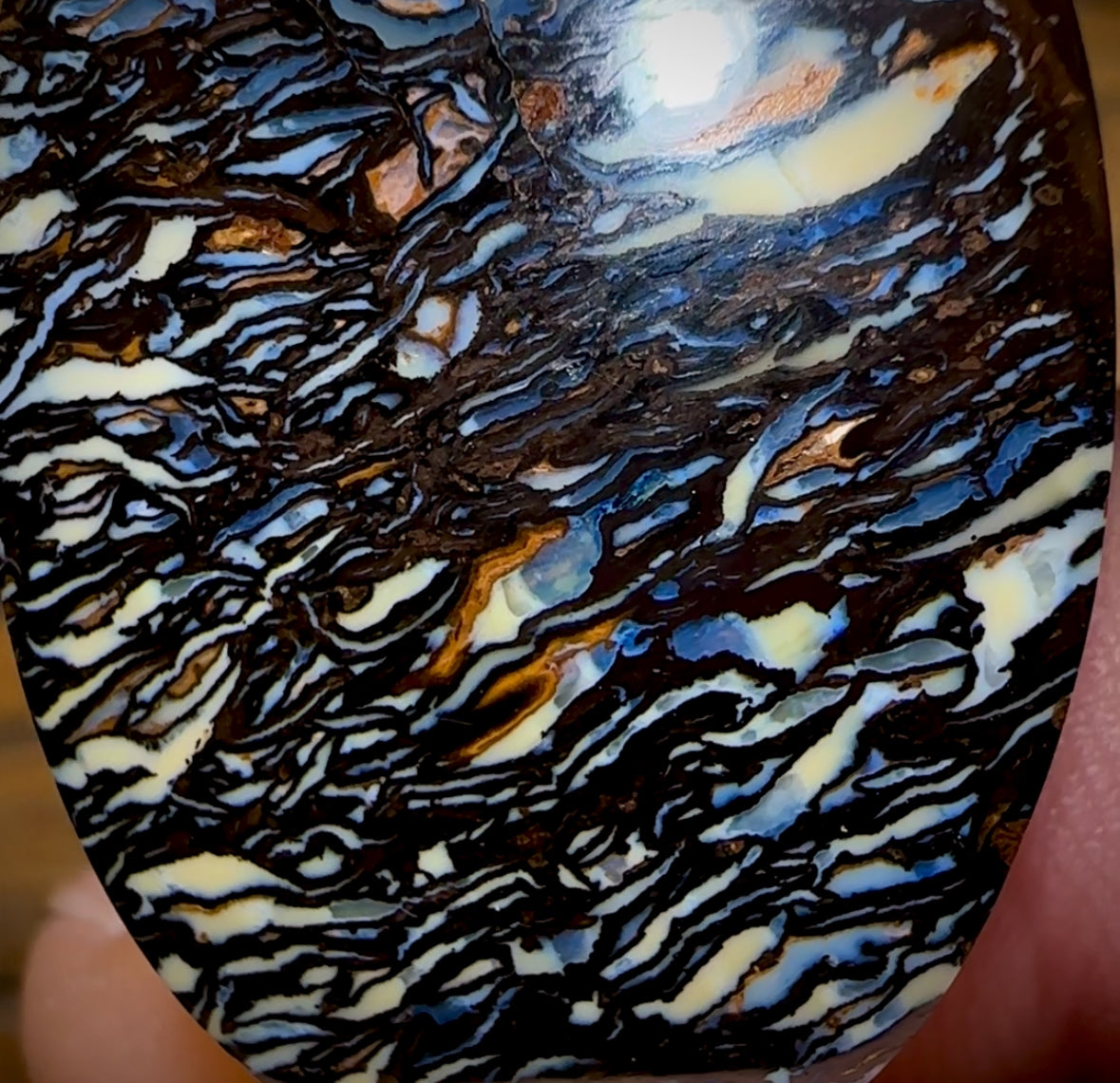 41.6cts - “Priceless” Queensland Boulder Opal. Tribal Matrix