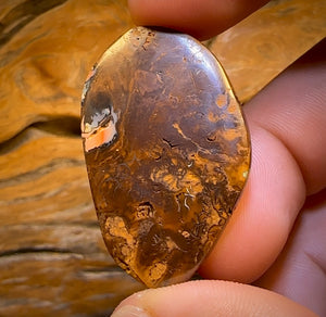 92.4cts - Top Tribal Koroit Nut Opal. Australian Opal