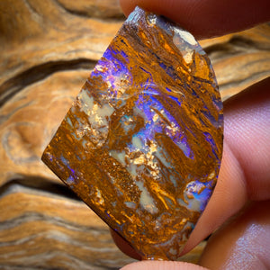 52.6cts - Vegetation Fossil Replacement Boulder Opal Rub. Double Sided!