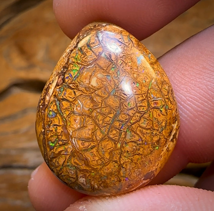 🔨 AUCTION 🔨 17.9cts - Tan Tribal Yowah Nut Opal. Australian Opal