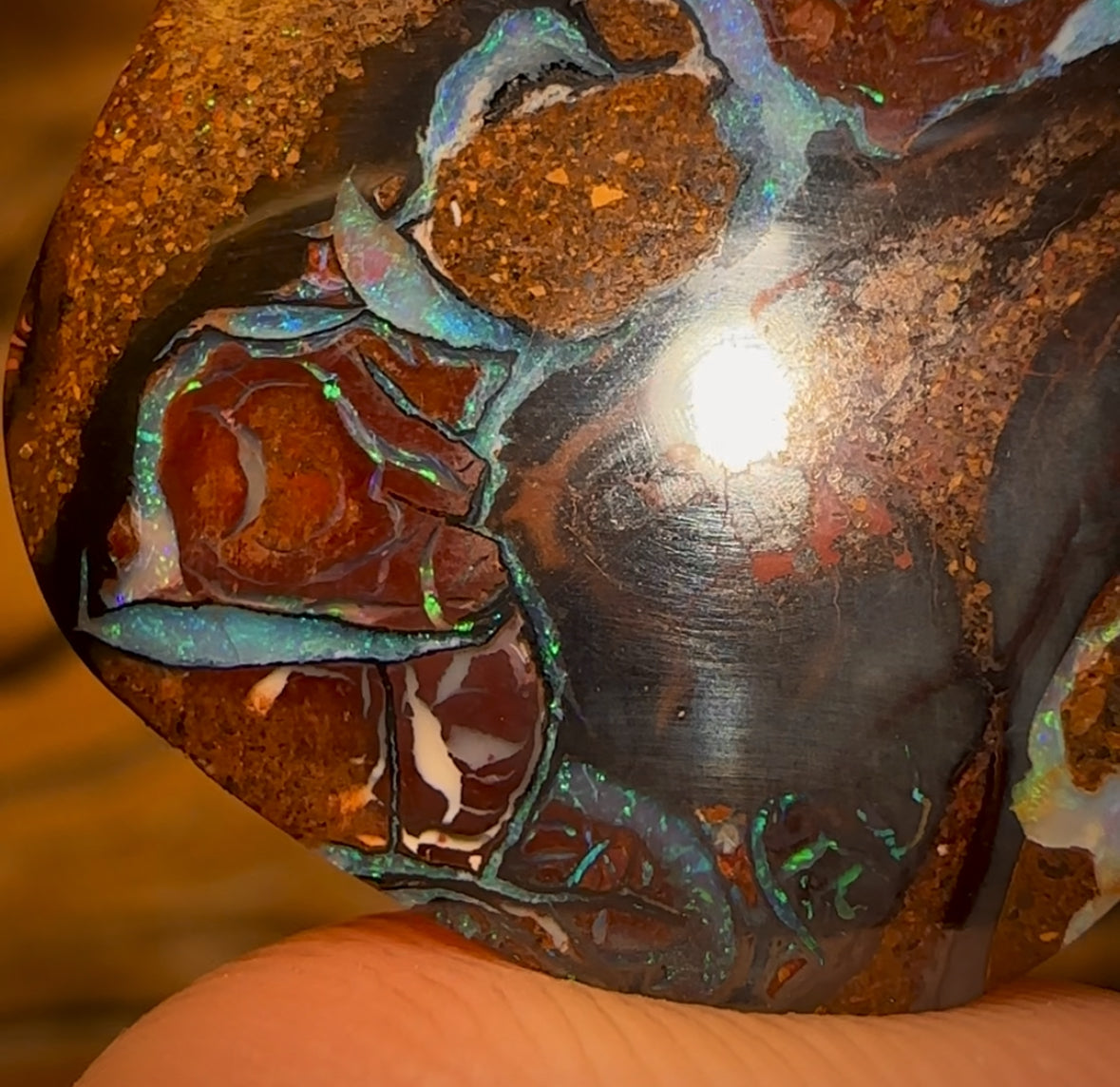 16.4cts - Tribal Queensland Boulder Opal