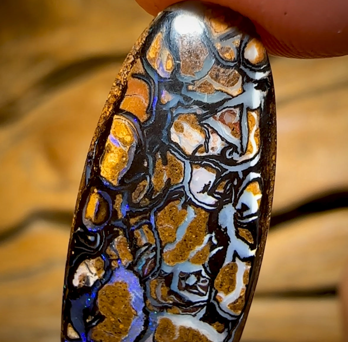 9.2cts - Tribal Yowah Nut Opal BARGAIN