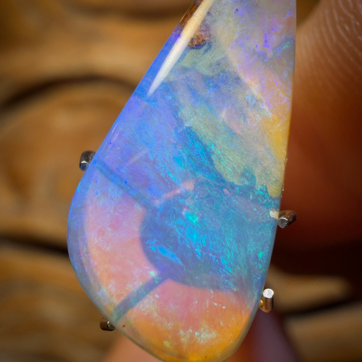 4.5cts - Wood Fossil Replacement Boulder Opal from Yowah