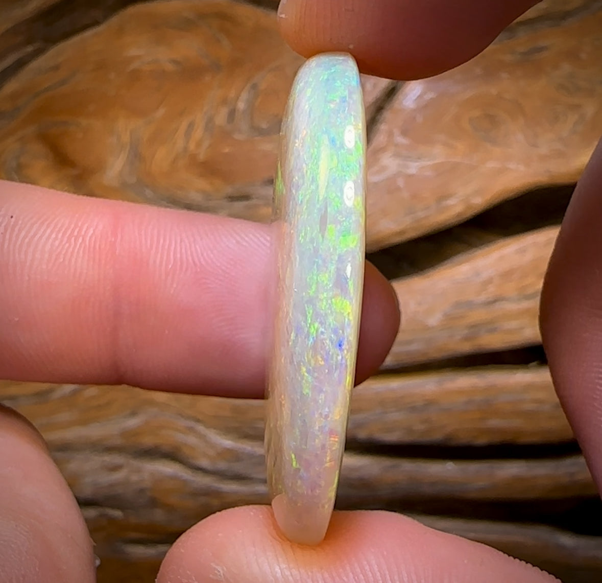 49.5cts - Large South Australian Crystal on Unique “Mother of Matrix” Multicolours!