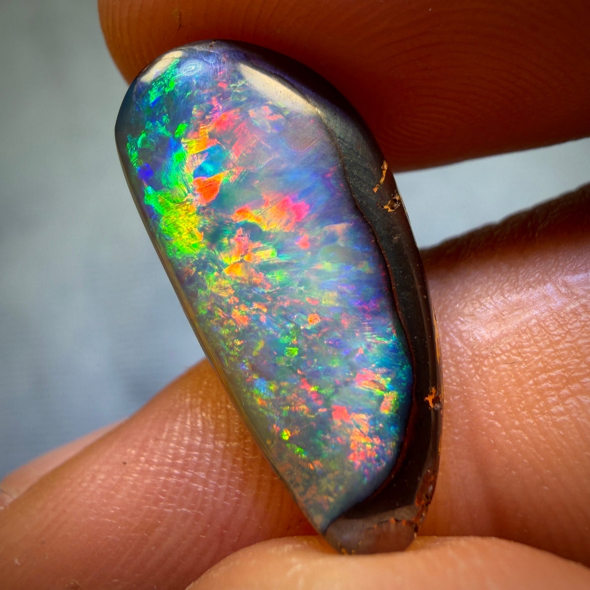 “Set in Stone” - Private Collector Investment - 105.2cts - TOP Yowah Nut Crystal Centre Opal Trio. Featured on “Outback Opal Hunters”!