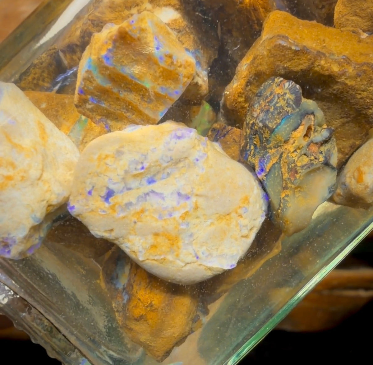 616,5 ct – Glas mit Yowah-Nussopal-Rohsteinen und fossilem Opal