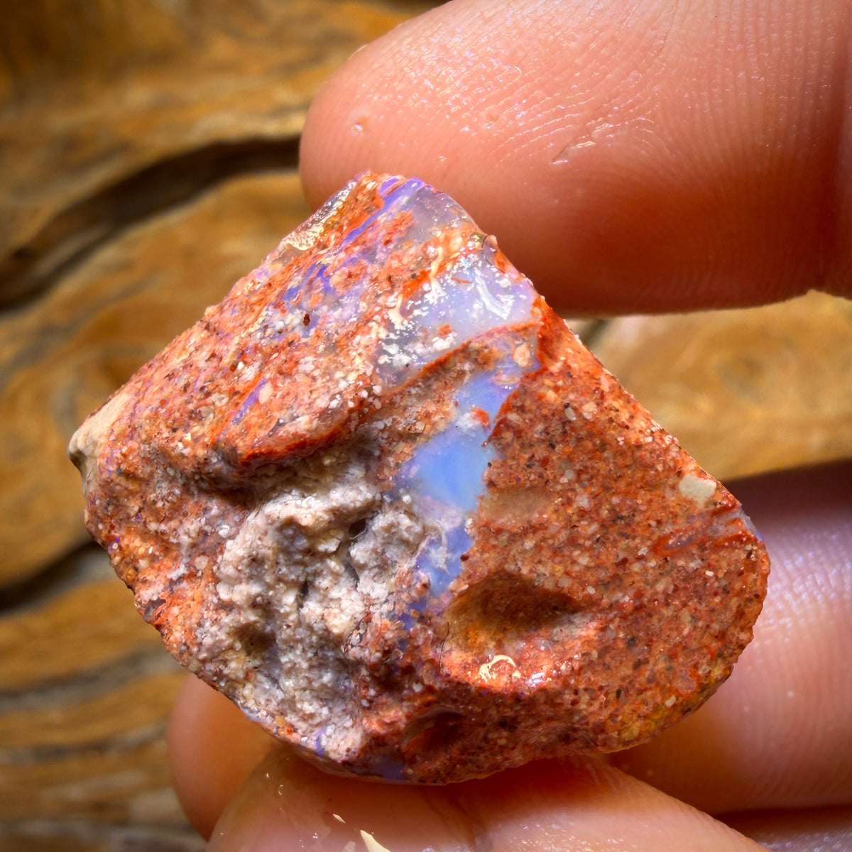 88.9cts - Boulder Pipe Opal Rough Piece. Australian Opal