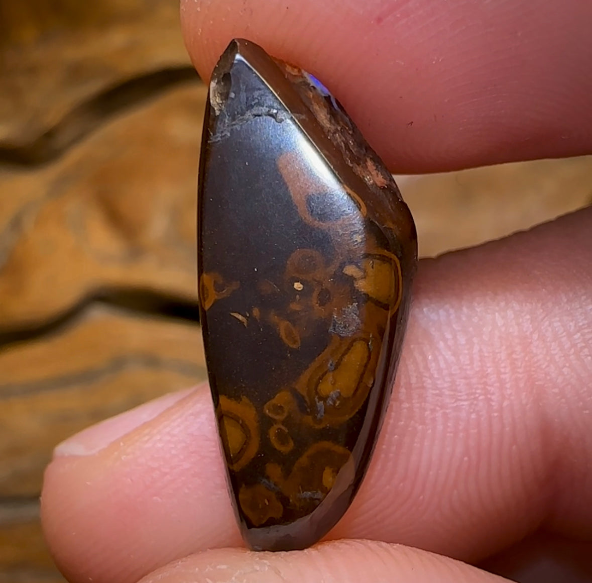 13.3cts - Tribal Koroit Nut Opal. Queensland Boulder Opal “Art of Opal” Quality - Opal Whisperers