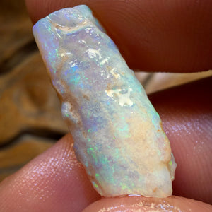 12.6cts - Opalised Belemnite Geological Specimen from South Australia