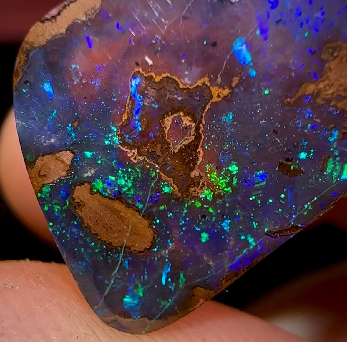 10.7cts - Solid QLD Black Boulder Opal - Opal Whisperers