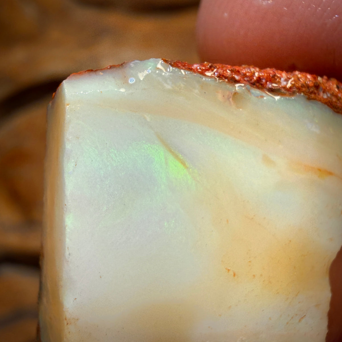 🔨 AUCTION 🔨 No Reserve 34.1cts - Boulder Pipe Opal Rough Piece. Australian Opal