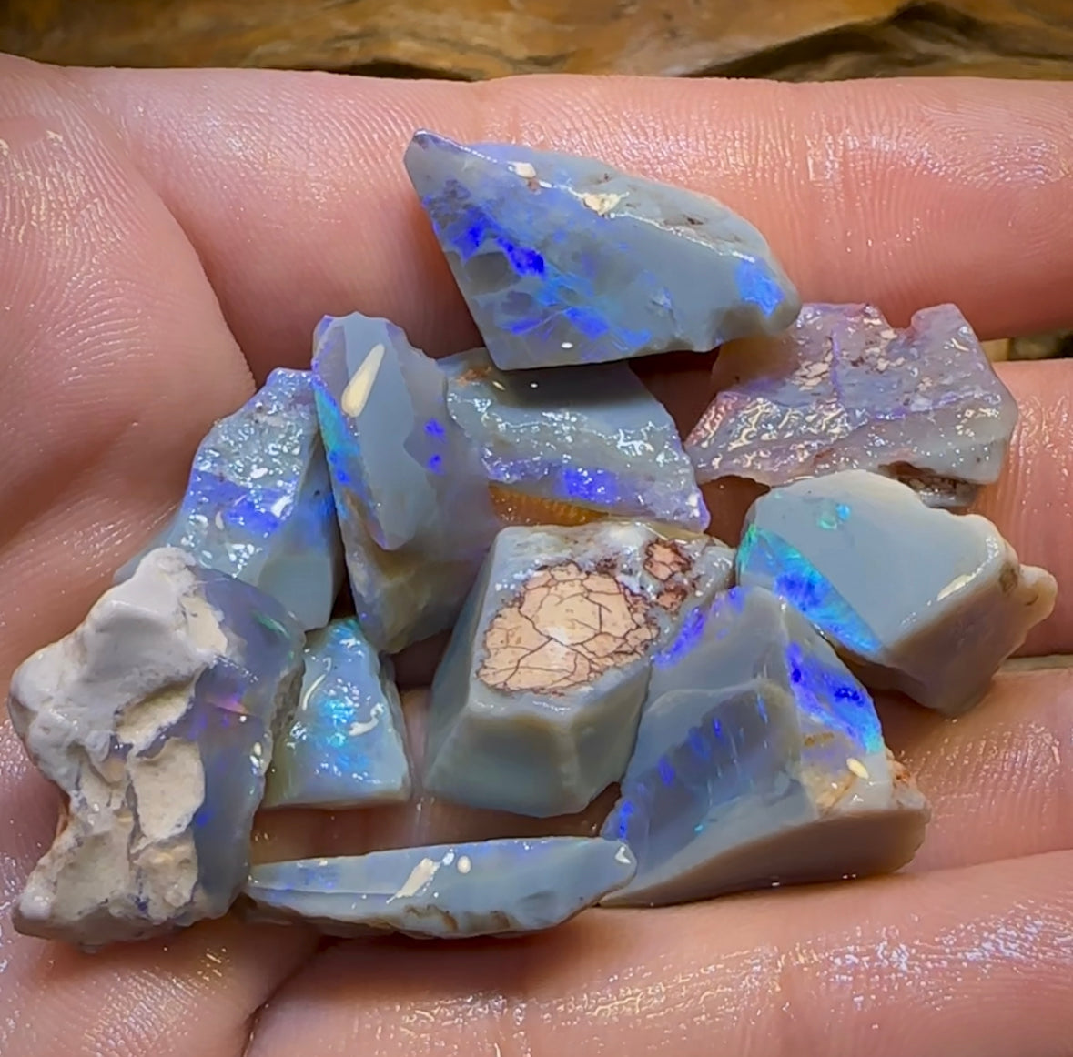 106.6cts - 11x Lightning Ridge Crystal and Dark Opal Rough Parcel - Opal Whisperers