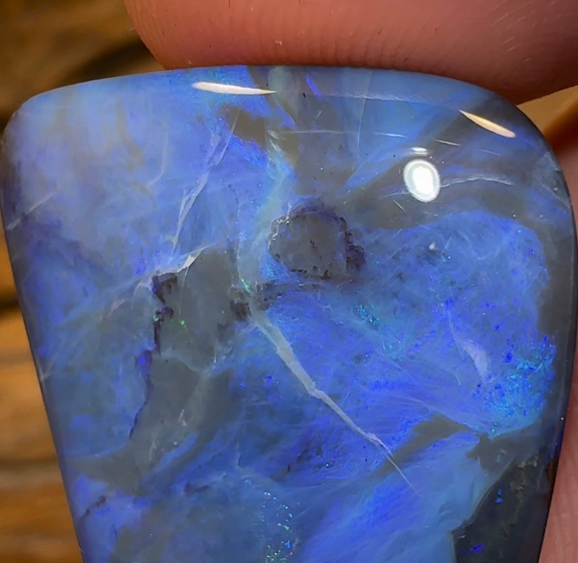 44.4cts - Queensland Boulder Black Opal from Winton - Opal Whisperers