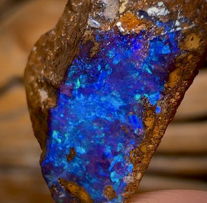 11.8cts - Queensland Boulder Seam Opal Rough Piece