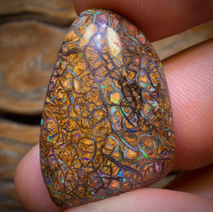24.3cts - Tan Tribal Yowah Nut Opal. Australian Opal