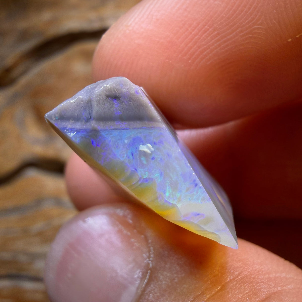 HDW 31.2cts - Lightning Ridge Dark Opal Rough Piece