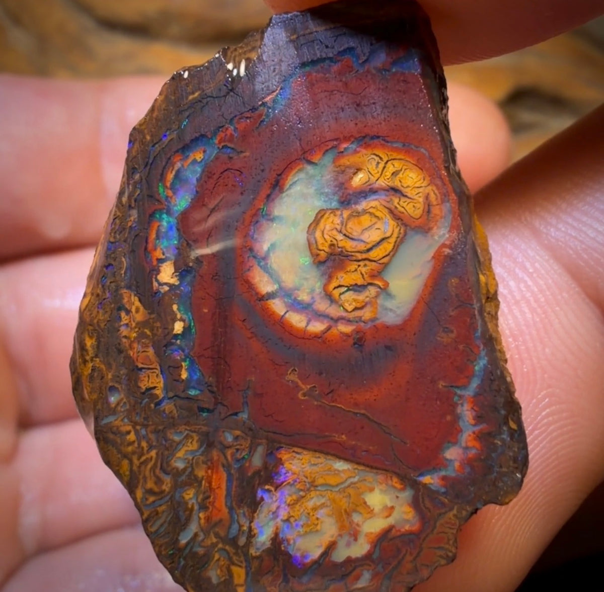 🔒126cts - 3x Yowah Nut Partial Crystal Centre Rough Specimen Parcel