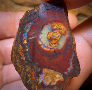 🔒126cts - 3x Yowah Nut Partial Crystal Centre Rough Specimen Parcel