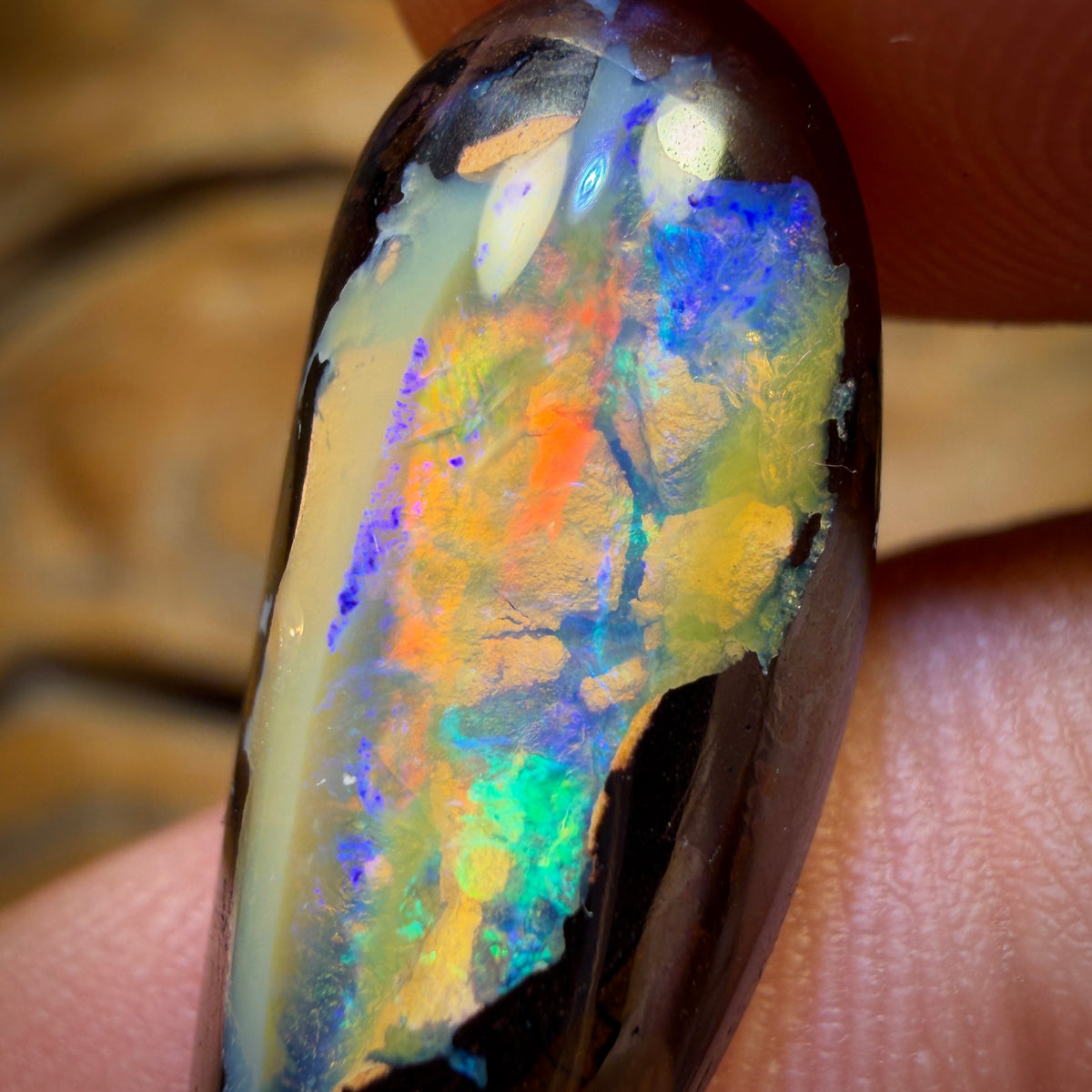 14.7cts - Rare Suspended Yowah Nut Crystal Centre Opal