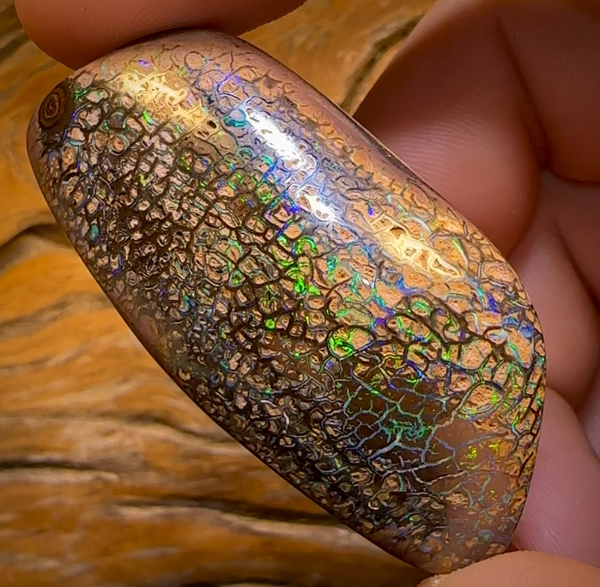151.3cts - Top Tight Tribal Yowah Nut Opal