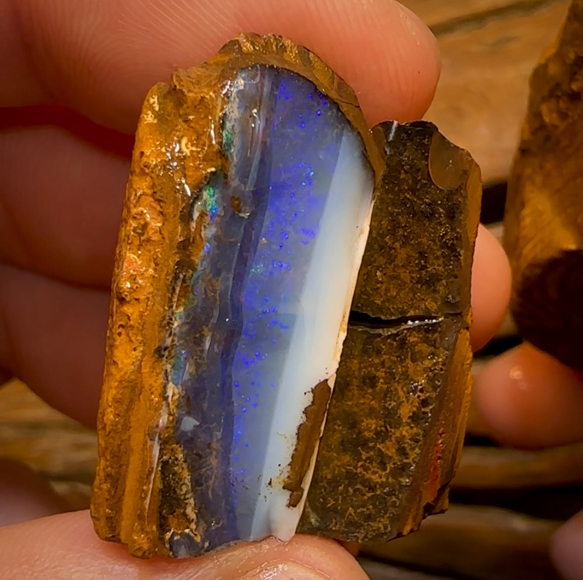 859cts - Pair of Queensland BoulderNatural Split Opal Rough Pieces
