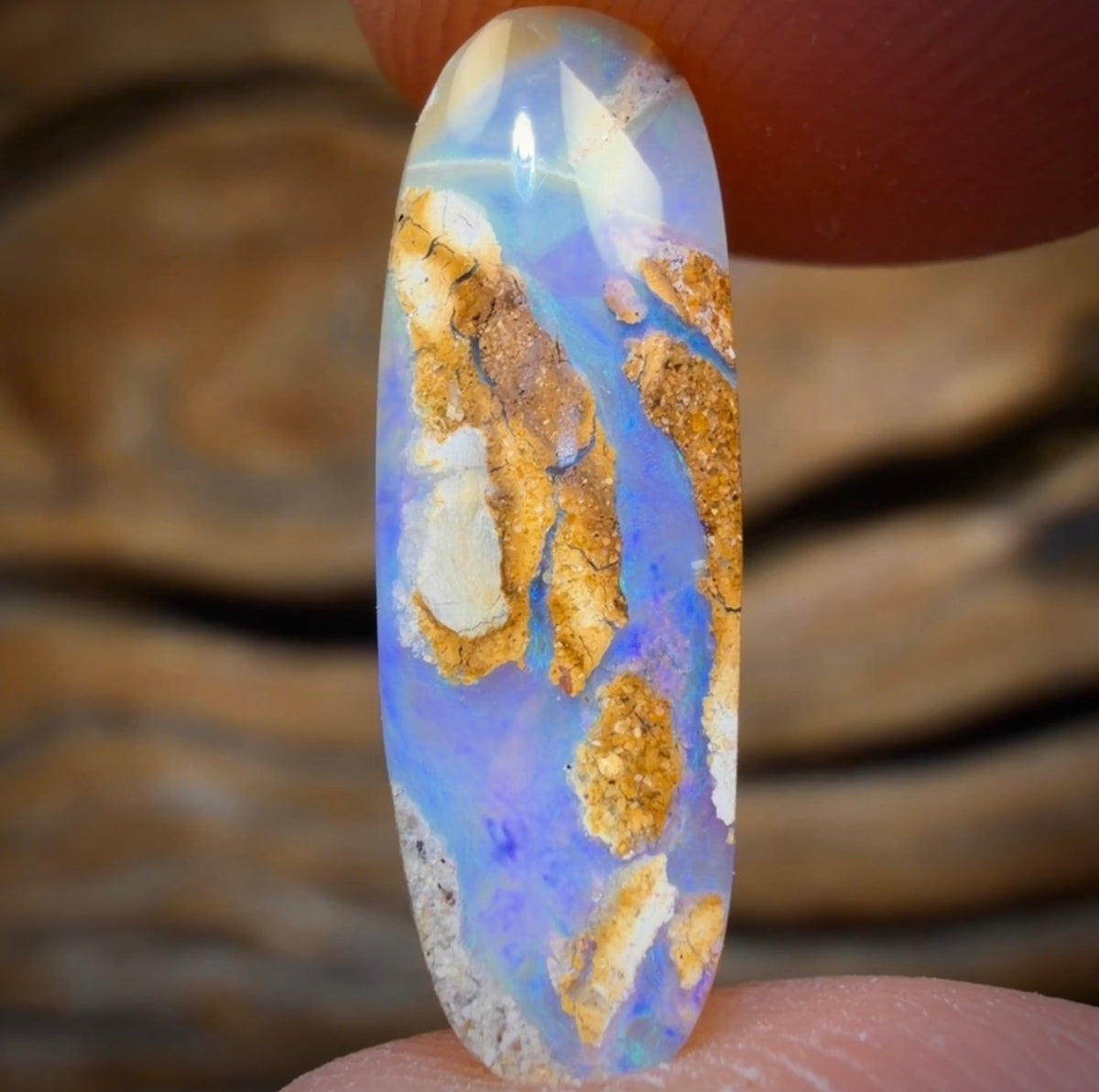 3.4cts - Solid Australian Boulder Pipe Opal