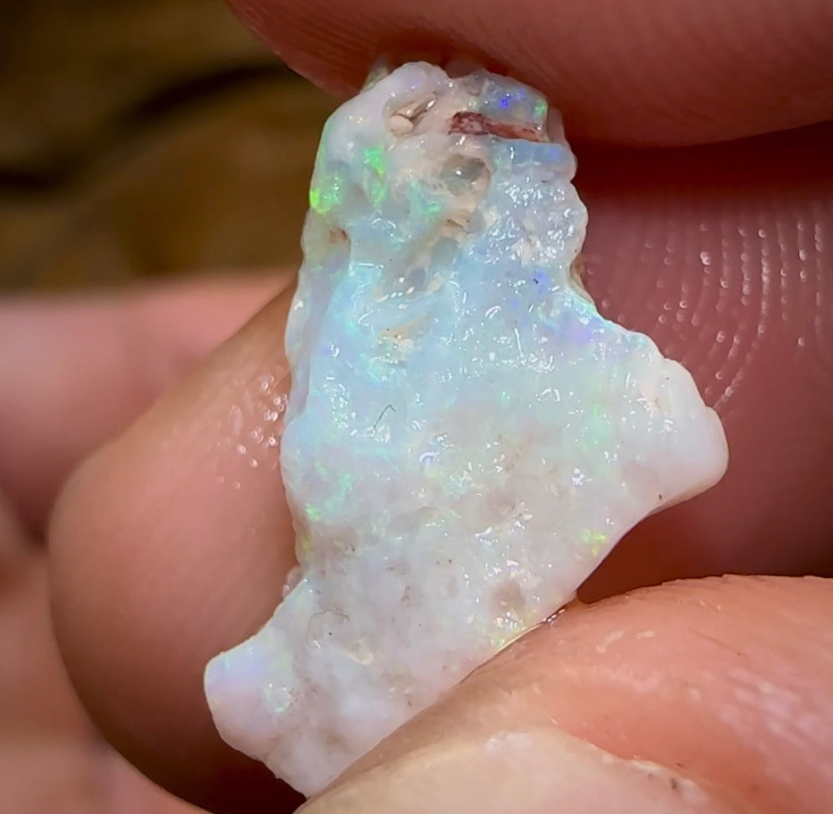 58.55cts - 11x Lightning Ridge Dark and Light Opal Rough Parcel - Opal Whisperers