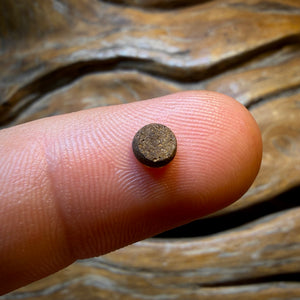 Wildcard! 0.46cts - Australian Boulder Opal Doublet