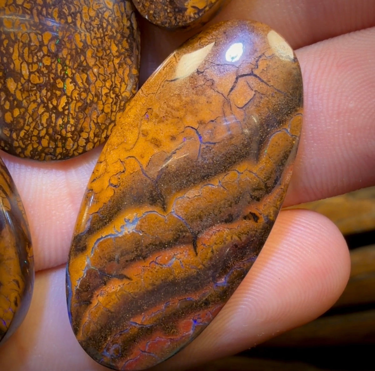 159.1cts - 5x Australian Tribal Boulder Opal’s. Wholesale Dealers Parcel