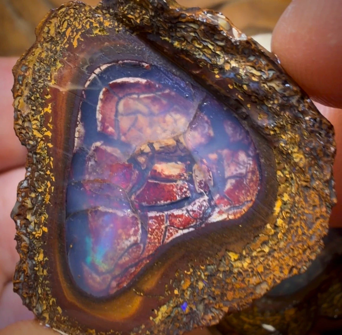 🔒152.7cts - 4x Yowah Nut Partial Crystal Centre Rough Specimen Parcel