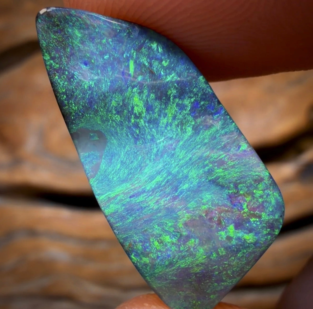 15.4cts - BANGER GEM Queensland Boulder Seam Opal