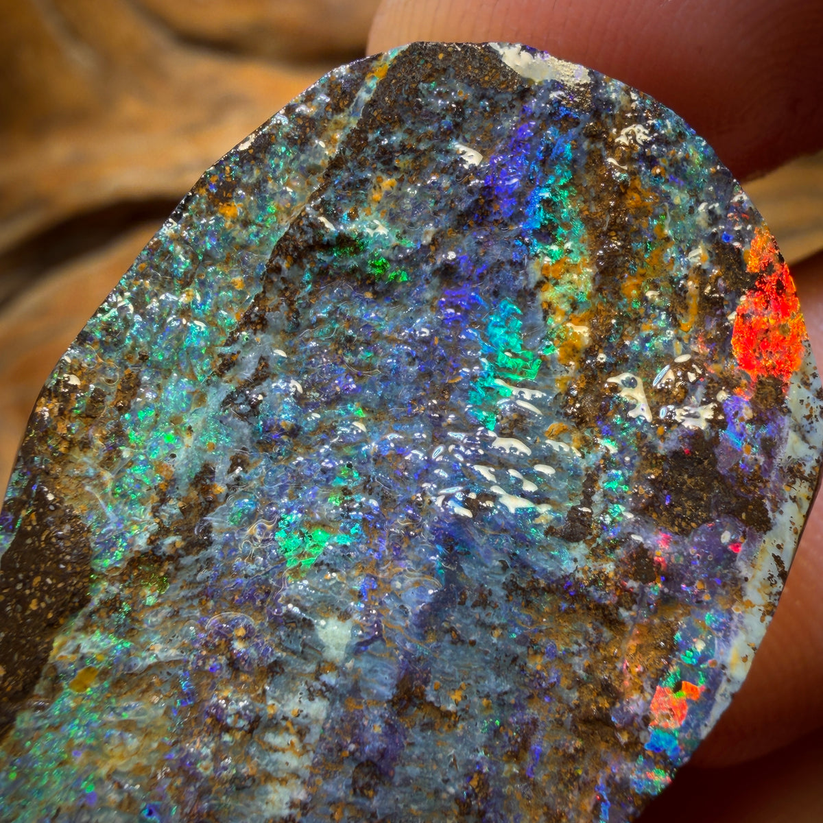 103.3cts - Dremel Dream Queensland Boulder Seam Opal Rough Piece. Natural Split