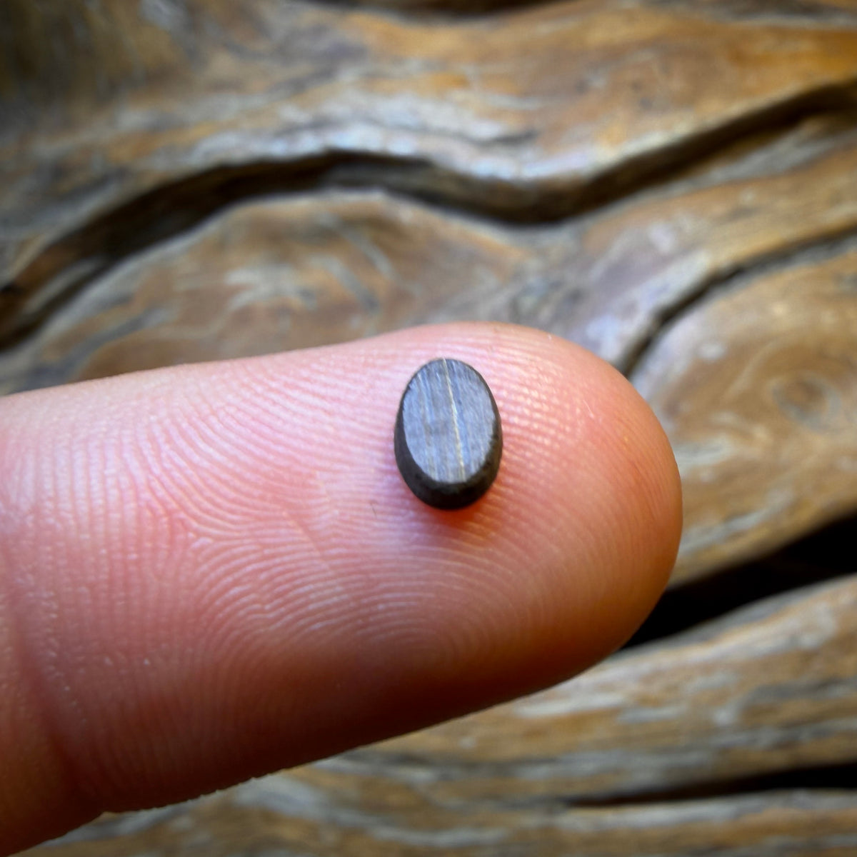 🔨 AUCTION 🔨 No Reserve 0.3cts - Australian Boulder Opal Doublet