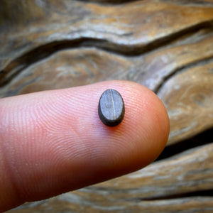 🔨 AUCTION 🔨 No Reserve 0.3cts - Australian Boulder Opal Doublet