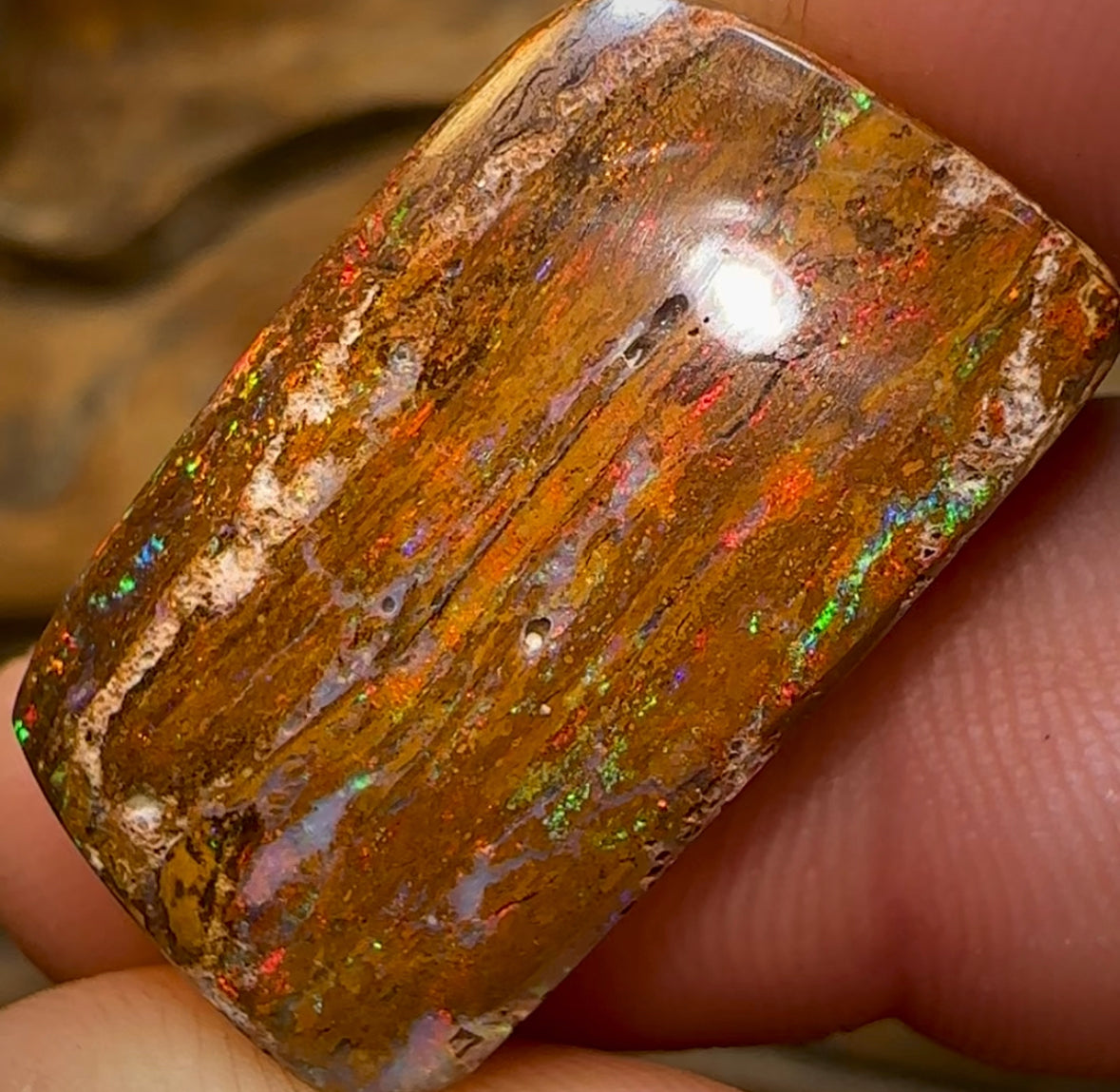 27.7cts - Wood Fossil Queensland Boulder Opal - Opal Whisperers