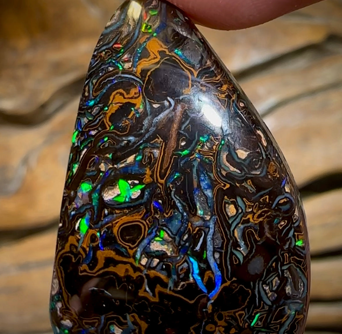 79.2cts - Top Tribal Koroit Black Nut Opal - Opal Whisperers