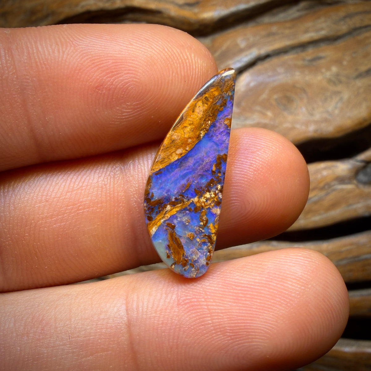 10.2cts - Wood Fossil Replacement Boulder Opal from Yowah
