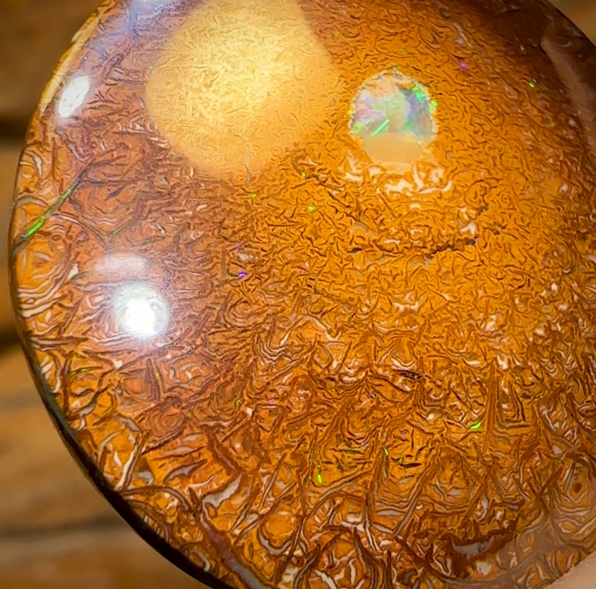 40.7cts - “Tribal Eye 1” Yowah Nut Tribal Kernel Opal. Double Sided!