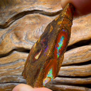 TGIF 154.4cts - TOP CUTTER Yowah Nut Conglomerate Opal Rough Piece