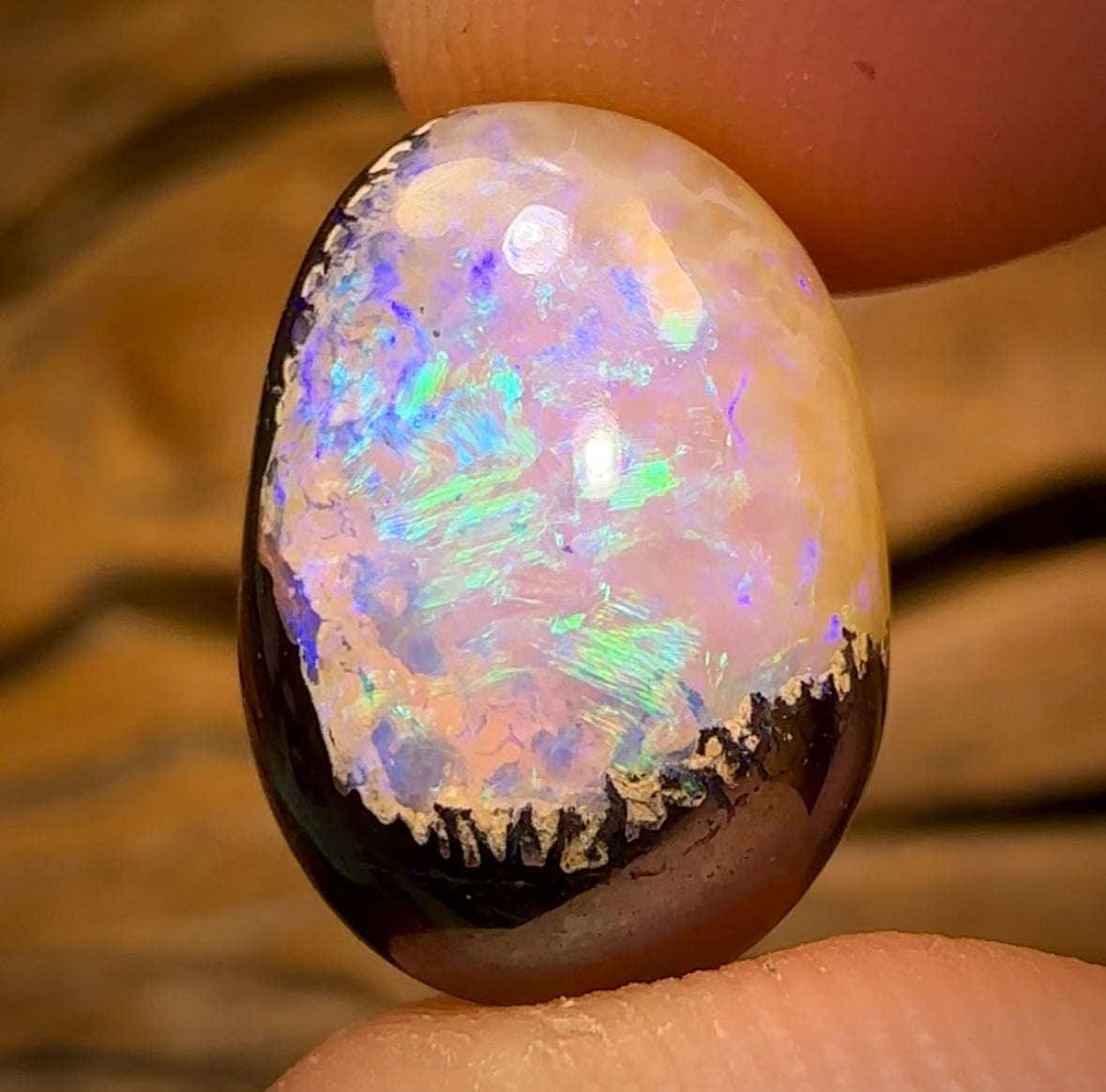 9.6cts - RARE Yowah Nut Crystal Centre Opal