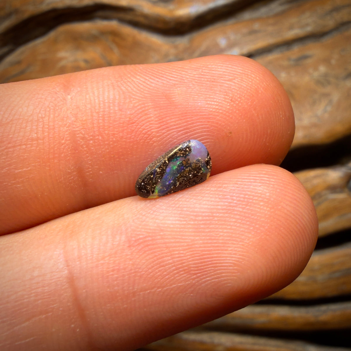 🔨 AUCTION 🔨 0.9cts - Reef Jewel Australian Boulder Seam Opal